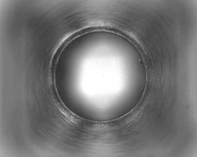 X0000066010927200603171502