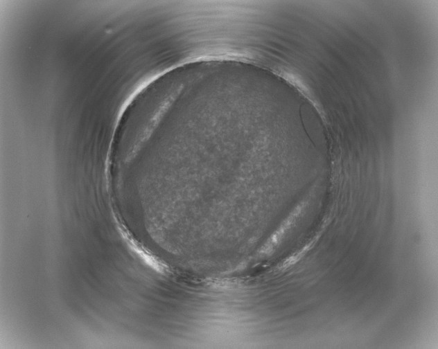 X0000066010928200603171502