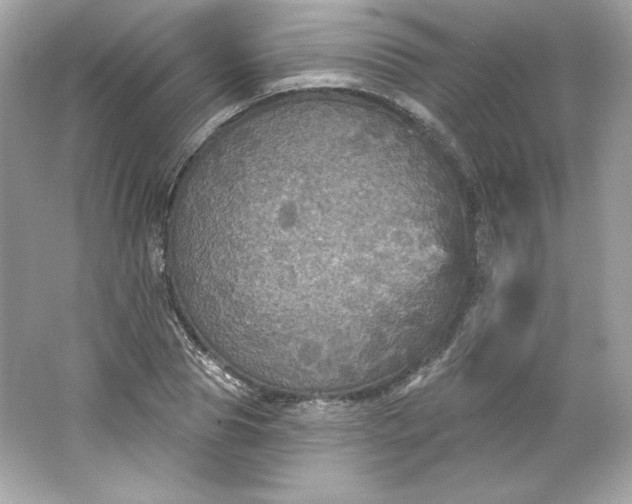 X0000066010929200603171502