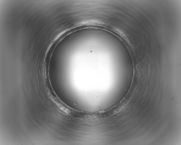 X0000066010931200603171502