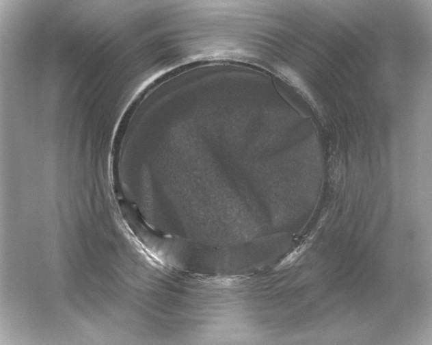 X0000066010932200603171502