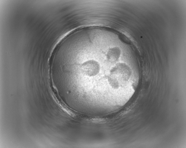 X0000066010933200603171502