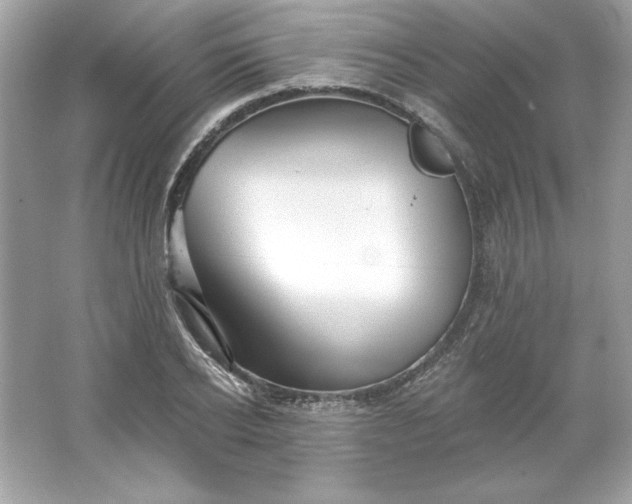 X0000066010934200603171502