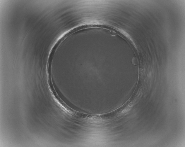 X0000066010935200603171502