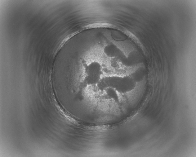 X0000066010937200603171502