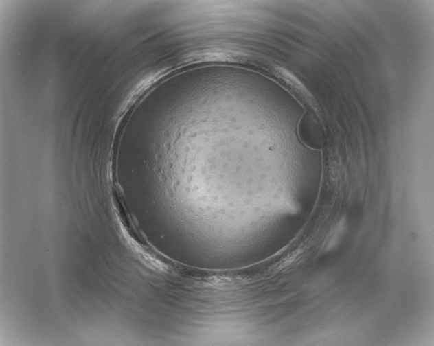 X0000066010938200603171502