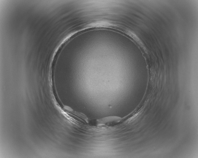 X0000066010939200603171502