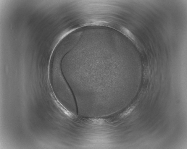 X0000066010940200603171502