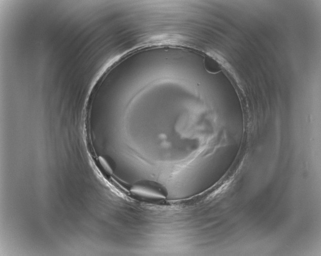 X0000066010941200603171502