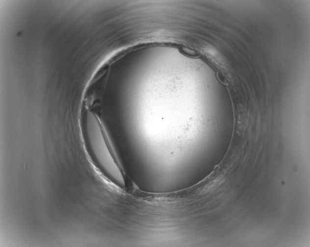 X0000066010942200603171502