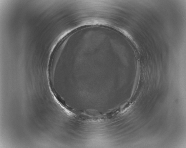 X0000066010943200603171502