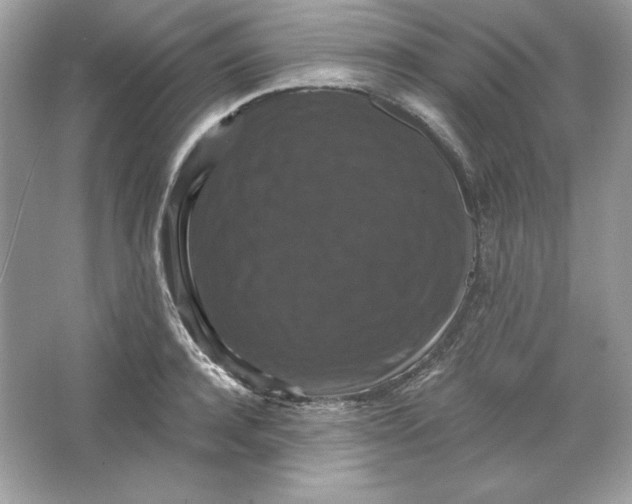 X0000066010944200603171502