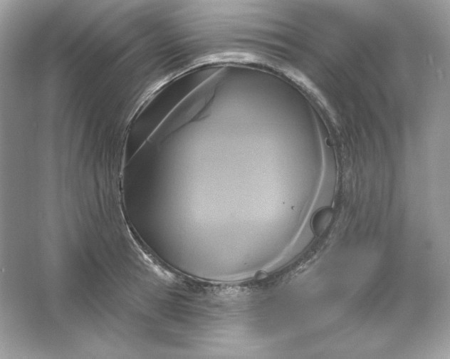 X0000066010945200603171502