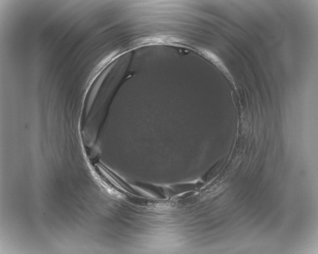 X0000066010946200603171502