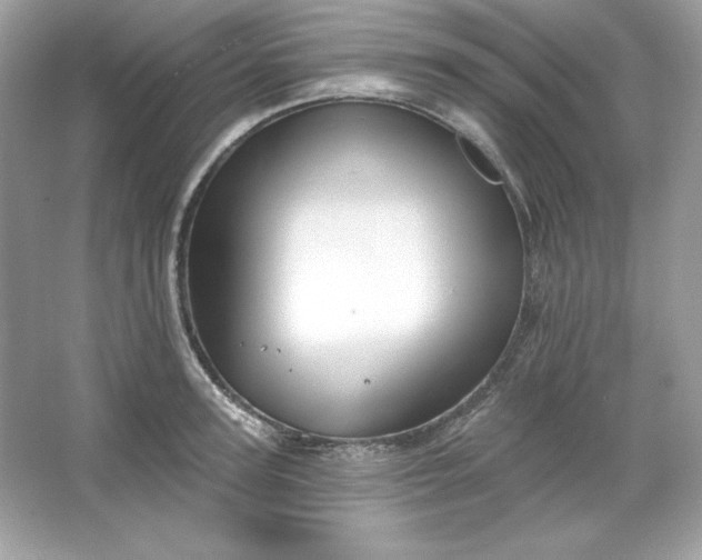 X0000066010947200603171502