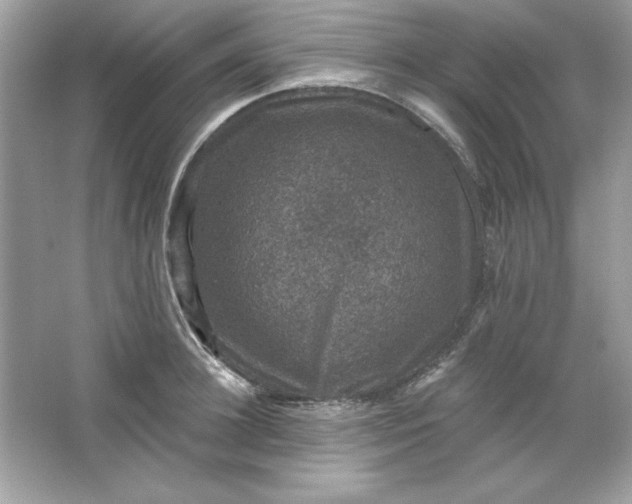 X0000066010948200603171502