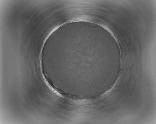 X0000066010949200603171502