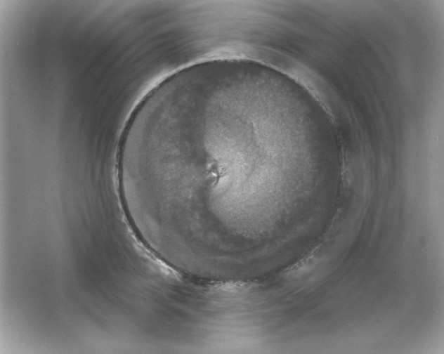 X0000066010950200603171502