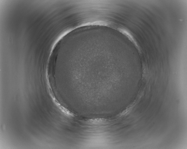 X0000066010952200603171502