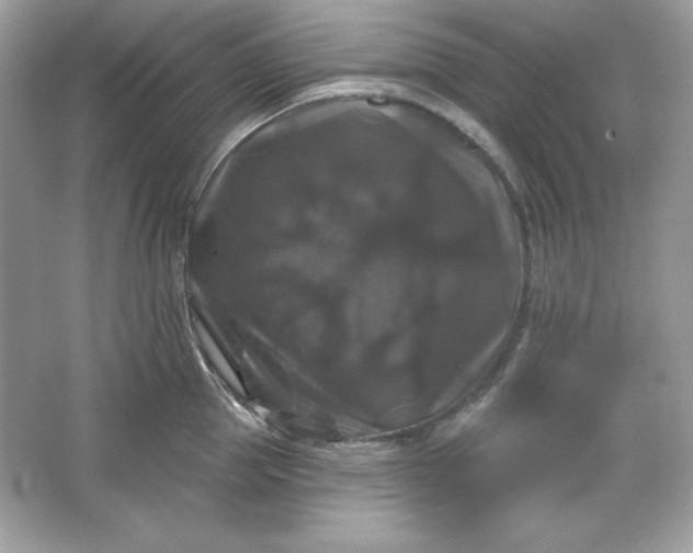 X0000066010953200603171502