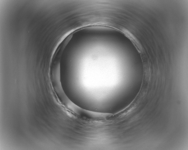 X0000066010956200603171502