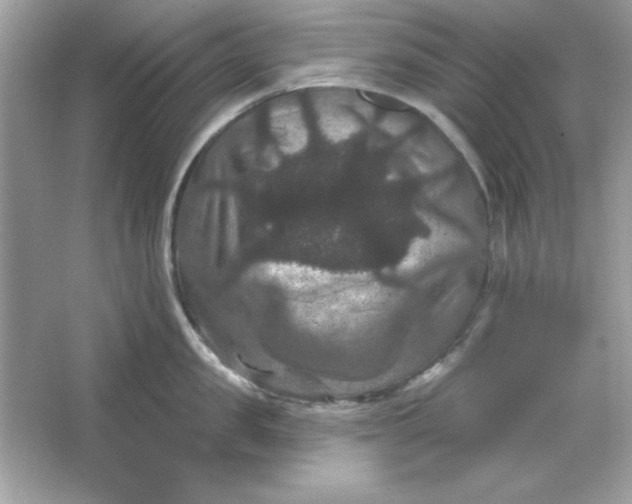 X0000066010957200603171502