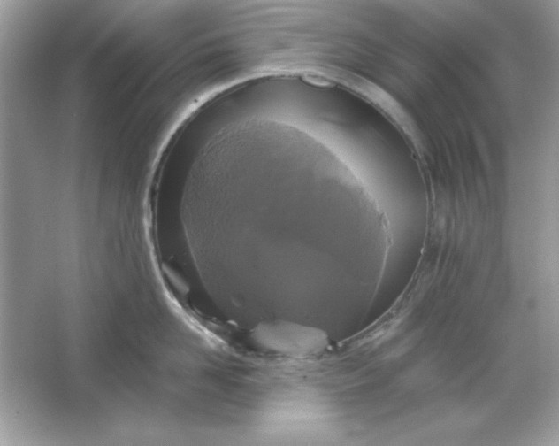 X0000066010958200603171502