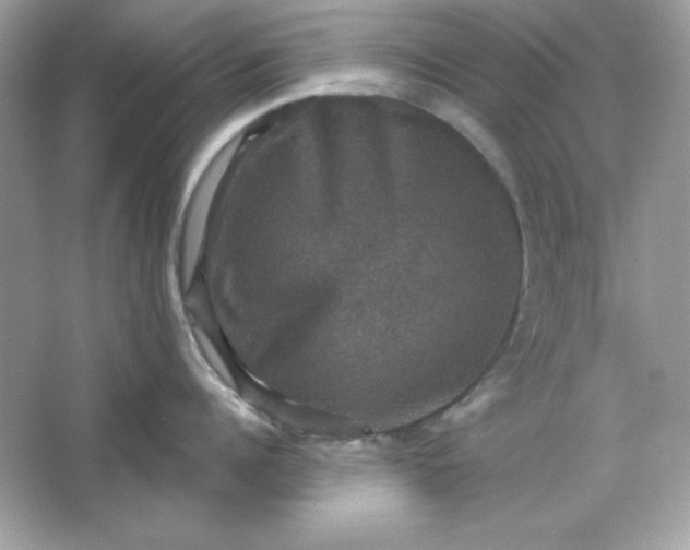 X0000066010960200603171502