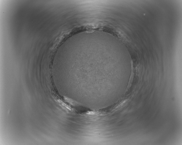 X0000066010961200603171502