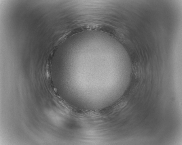 X0000066010962200603171502