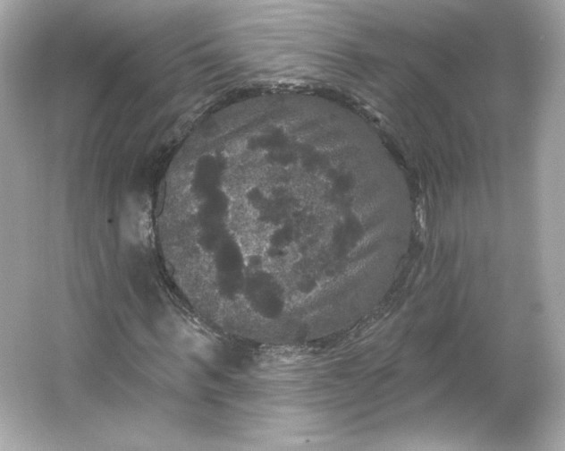 X0000066010963200603171502