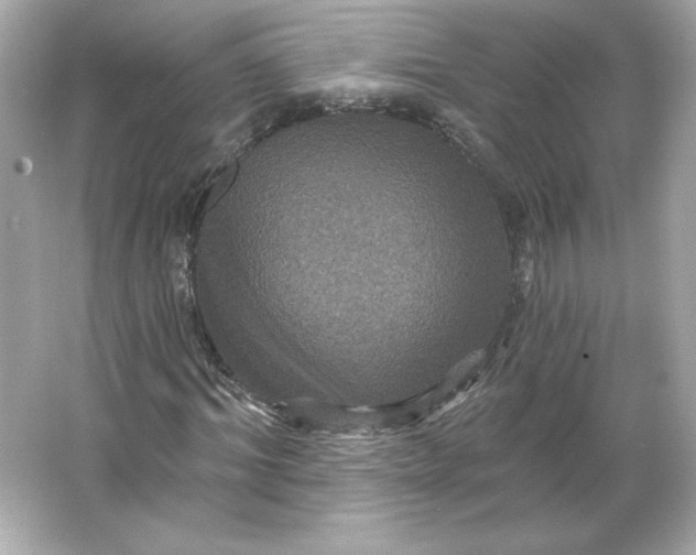 X0000066010964200603171502