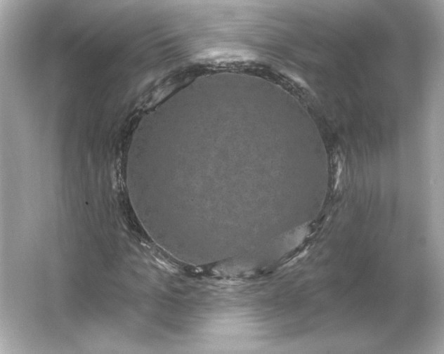 X0000066010965200603171501