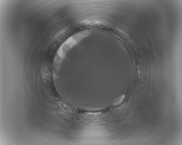 X0000066010966200603171501