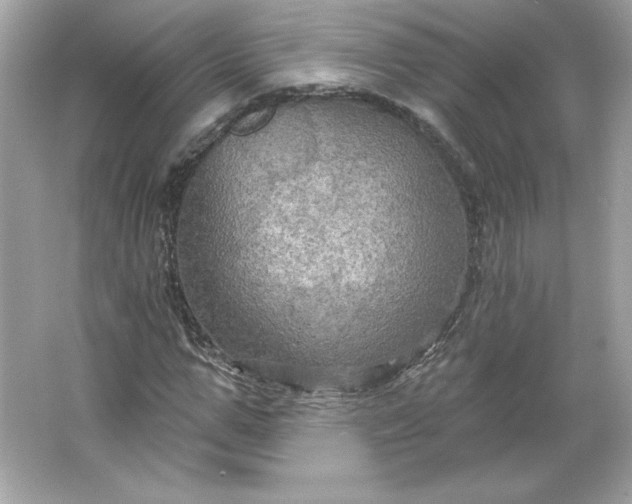 X0000066010967200603171501