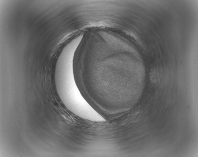 X0000066010968200603171501