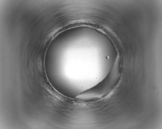 X0000066010969200603171501