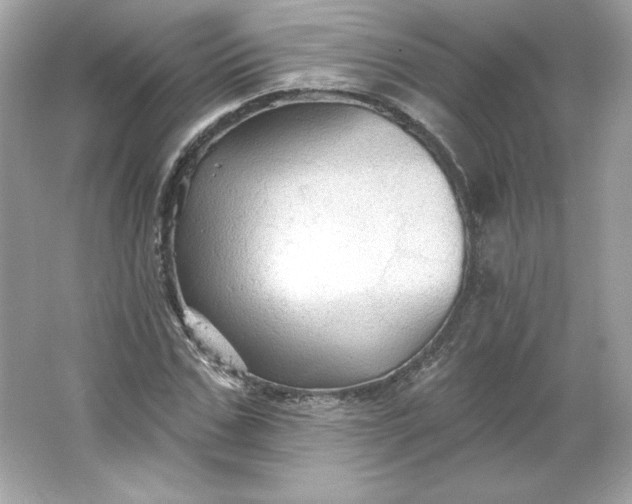 X0000066010971200603171501