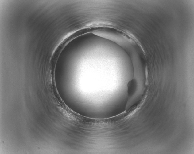 X0000066010973200603171501