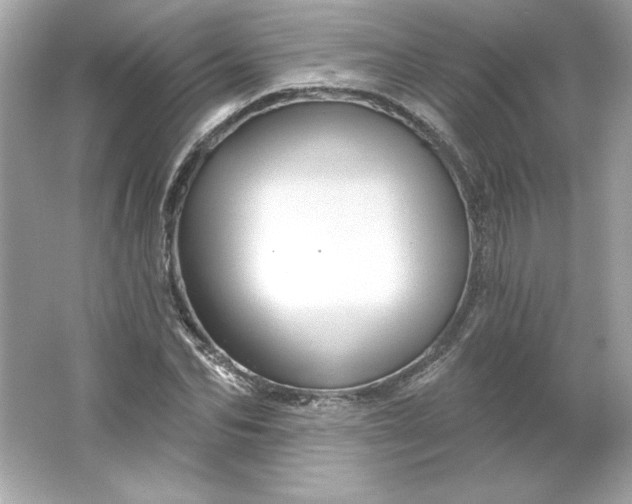 X0000066010974200603171501