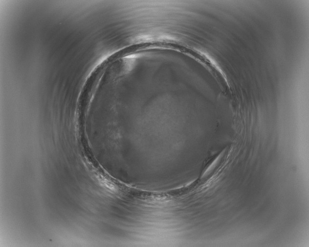 X0000066010975200603171501