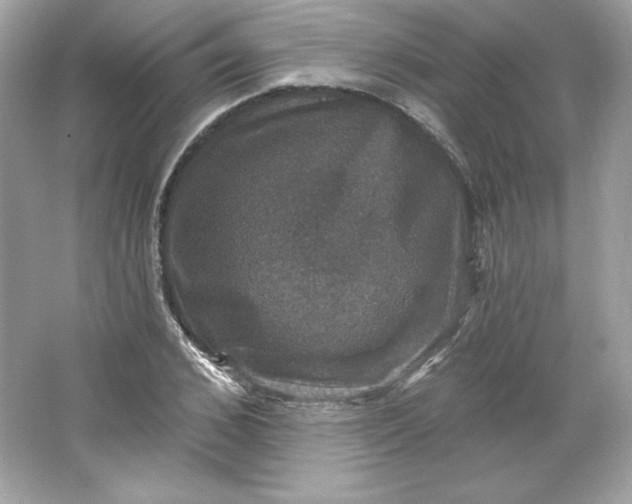 X0000066010976200603171501