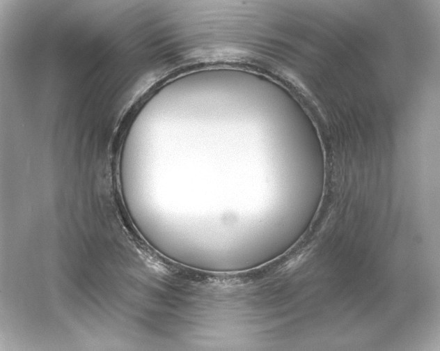 X0000066010978200603171501