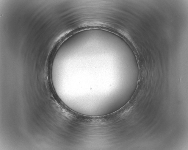 X0000066010979200603171501