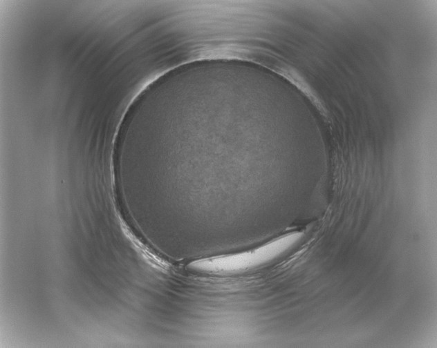 X0000066010980200603171501