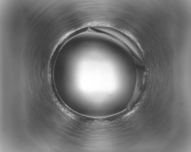 X0000066010981200603171501