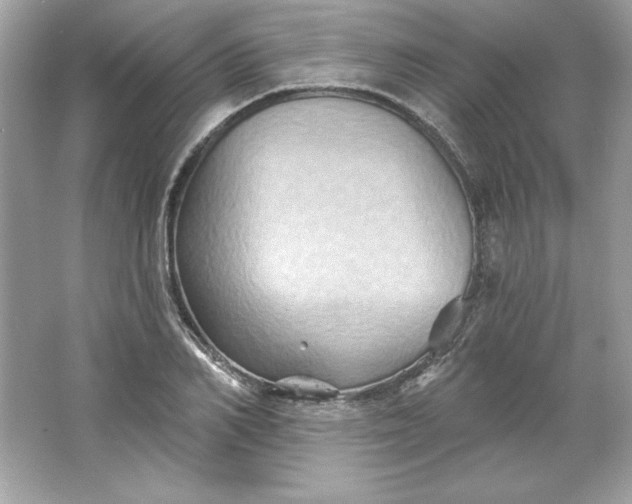 X0000066010982200603171501