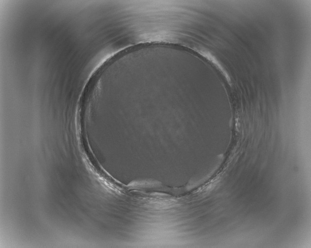 X0000066010983200603171501