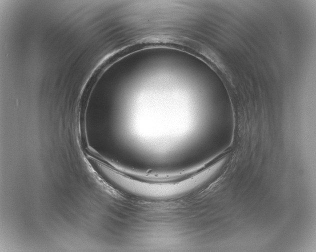 X0000066010984200603171501