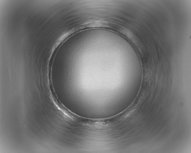 X0000066010986200603171501